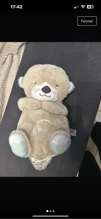 Veilleuse loutre