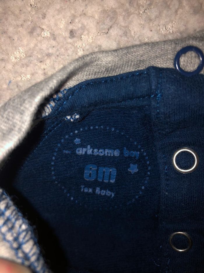 Pull chien taille 6 mois Tex - photo numéro 3