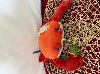 Grand Crabe d'Activités