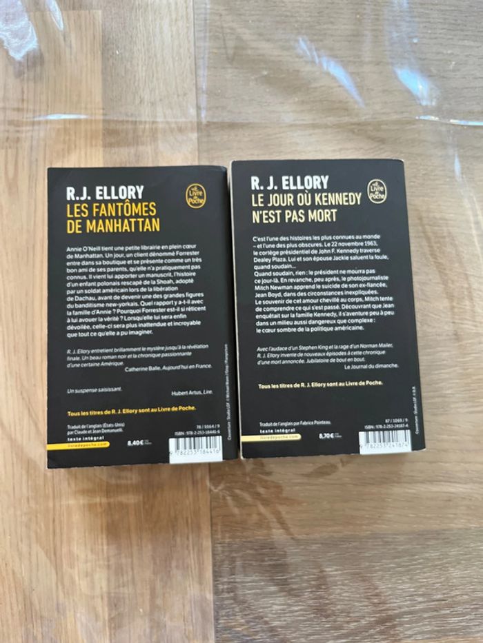 Lot 2 livres R J Ellory - photo numéro 2