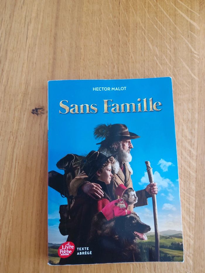 Livre Sans Famille