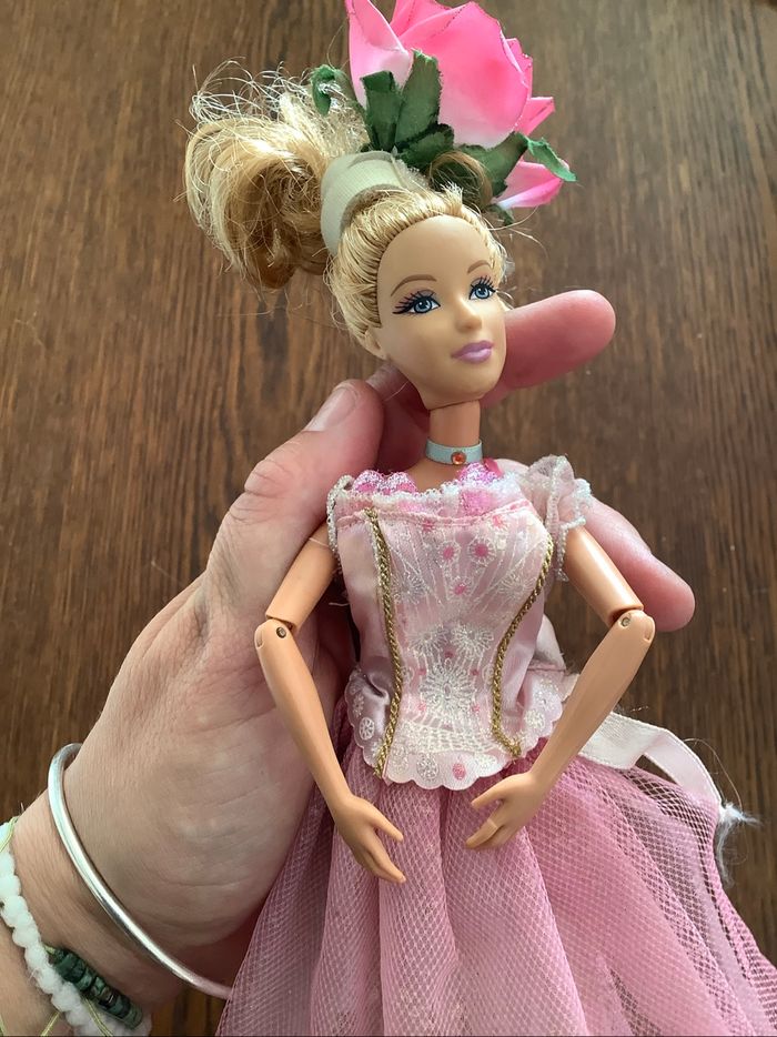 Barbie au bal des 12 princesses hadley et Barbie casse noisette - photo numéro 7