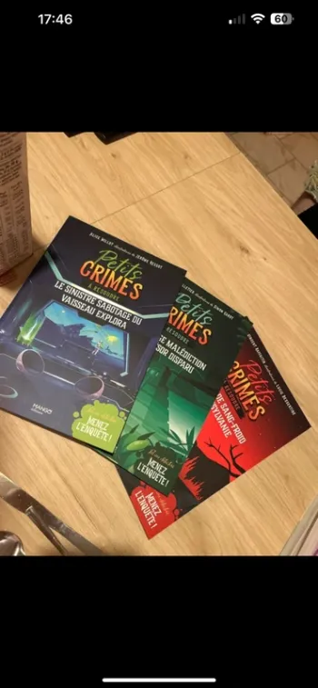 Lot de 3 cahiers d’enquêtes