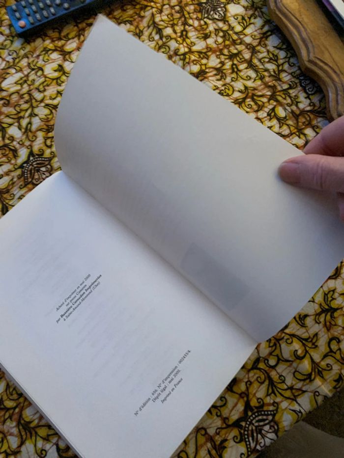 La fille de merlin - photo numéro 7