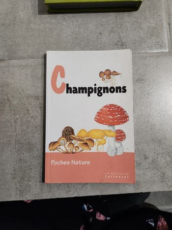 Livre : Champignons