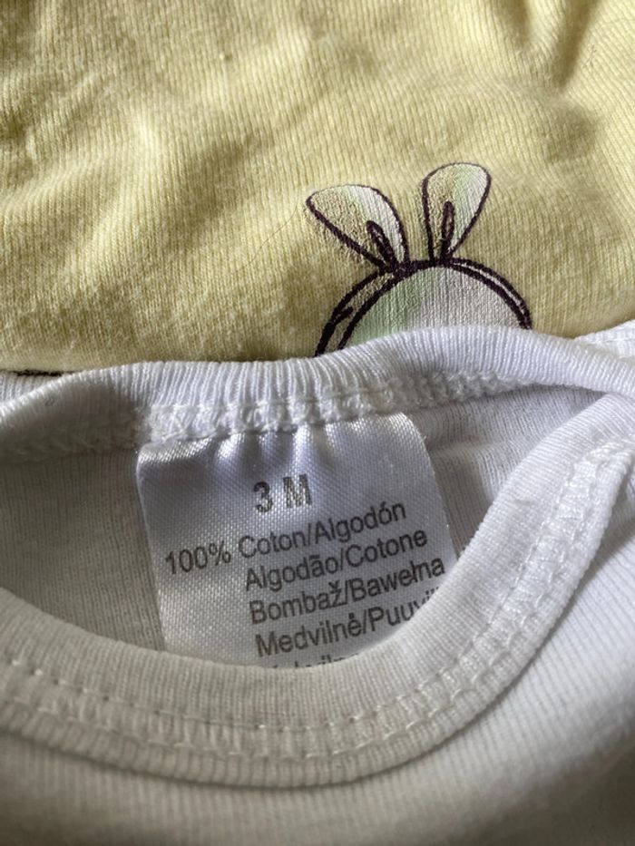 Lot de 4 bodies manche courtes - photo numéro 2