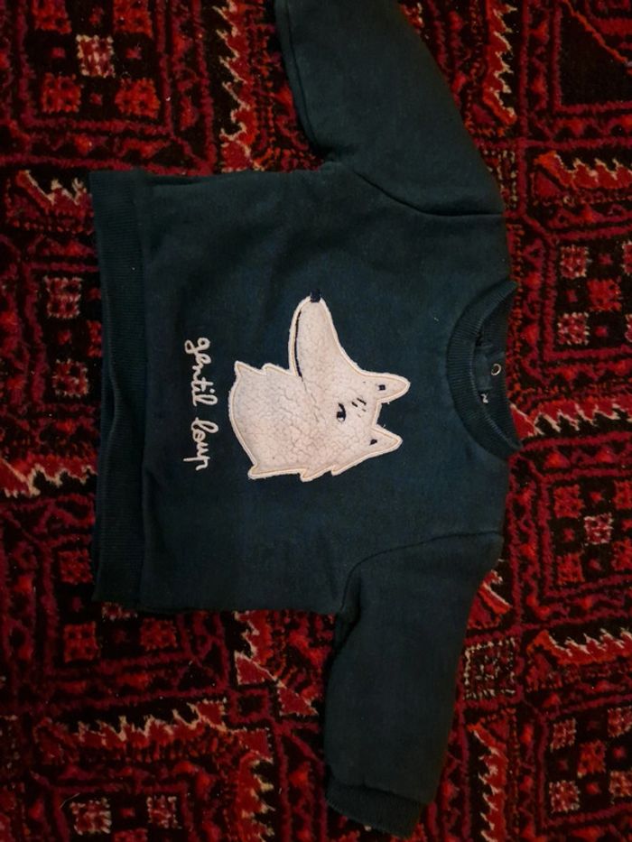 Sweat loup 6M - photo numéro 2