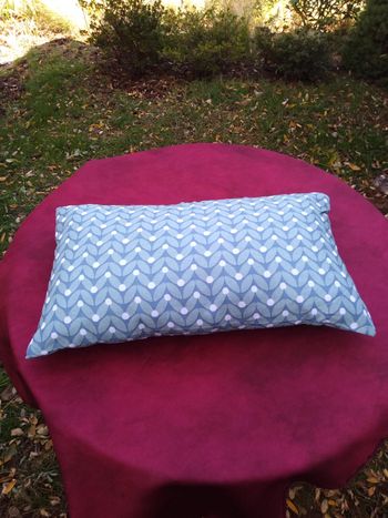 Coussin neuf jamais servi