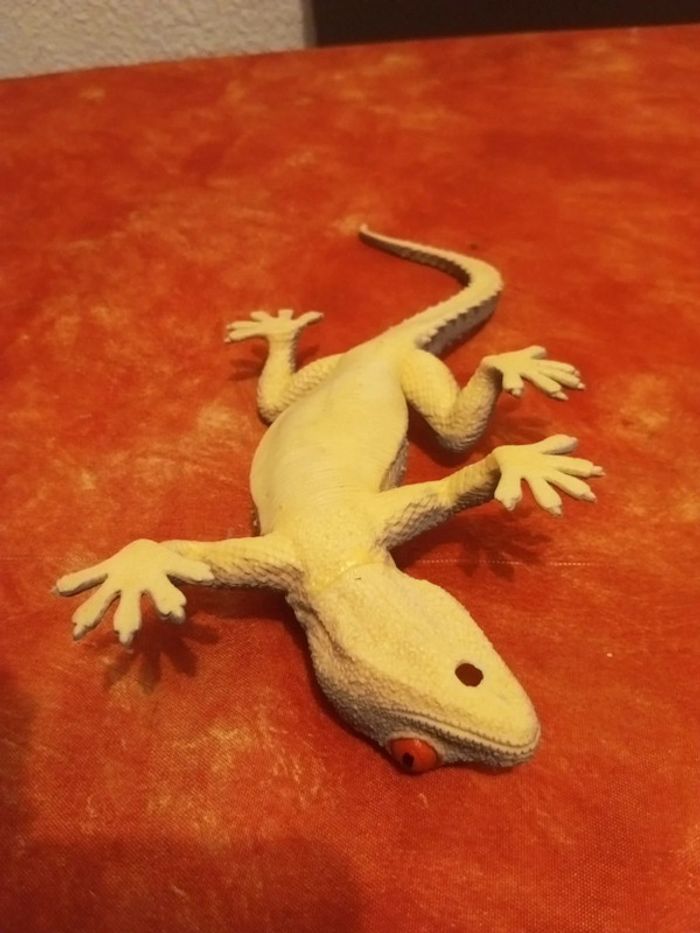 Lézard gekko - photo numéro 5