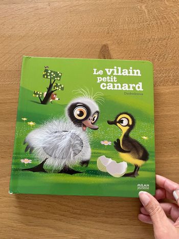 Le vilain petit canard