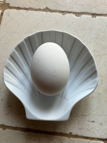 1 oeuf d’oie à cuisiner 