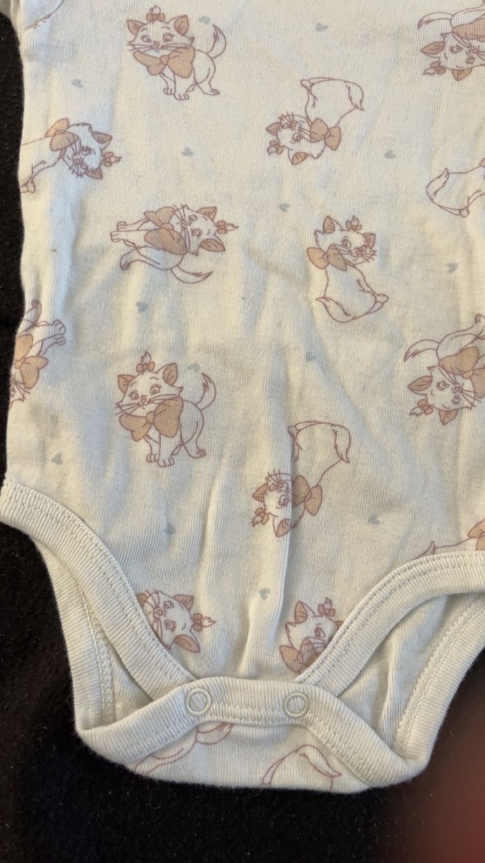 Bodie 3 mois - photo numéro 2