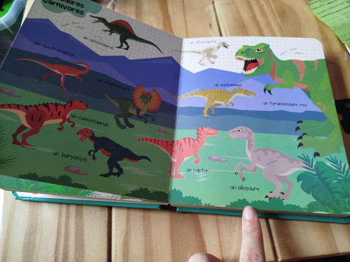 Mes premiers mots pour découvrir les dinosaures - photo numéro 5