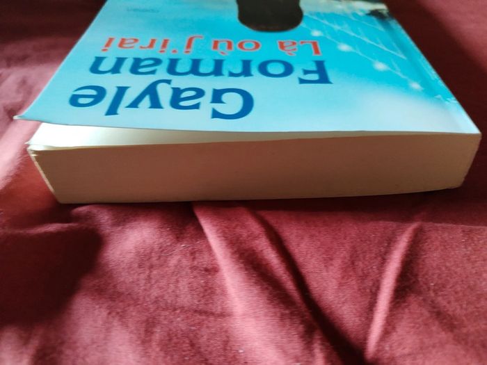 Livre là où j'irai gayle forman - photo numéro 4