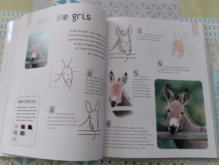 Dessiner et peindre les animaux - photo numéro 6