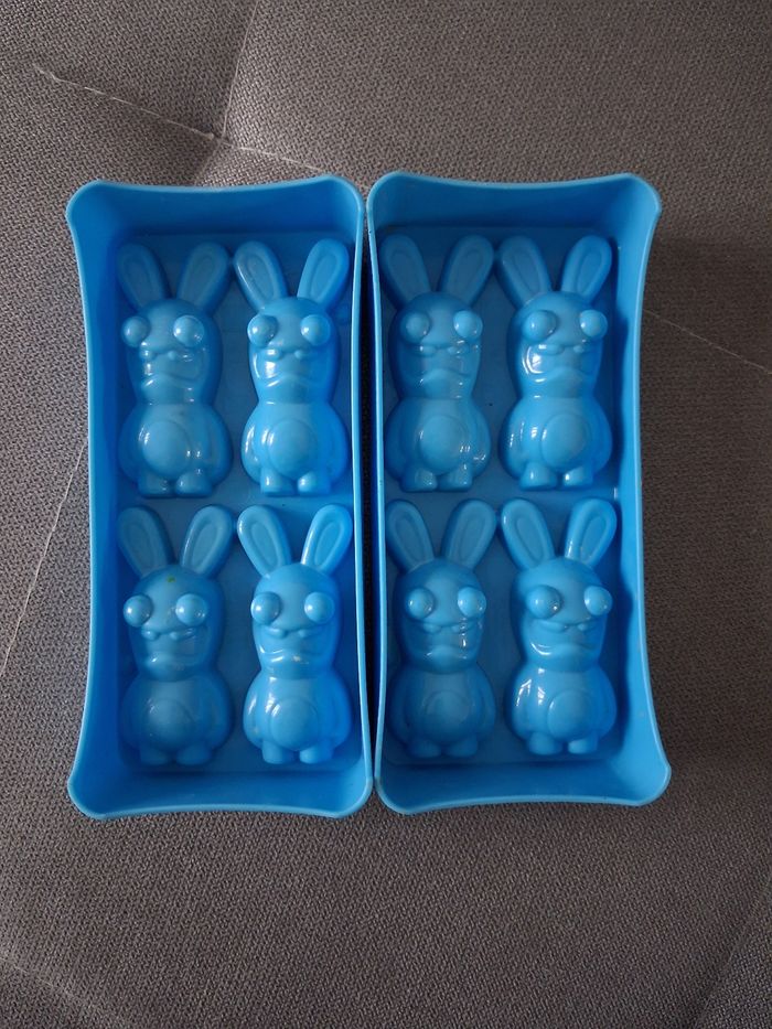 Moule glaçons - photo numéro 2