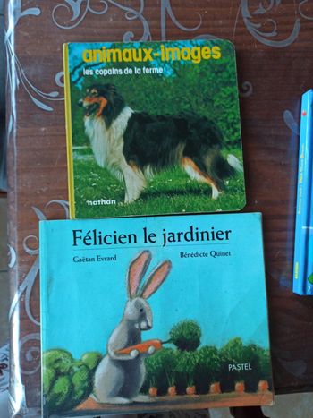 Lot de 2 livres