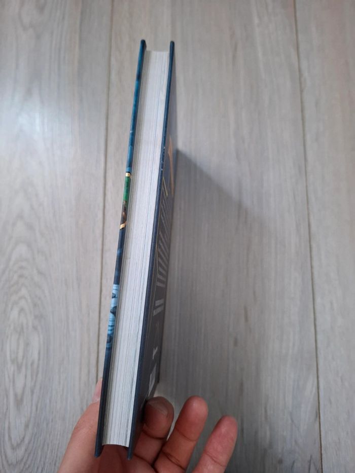 Livre l'école volante des aventuriers, le tigre de feu de Batavia - photo numéro 6