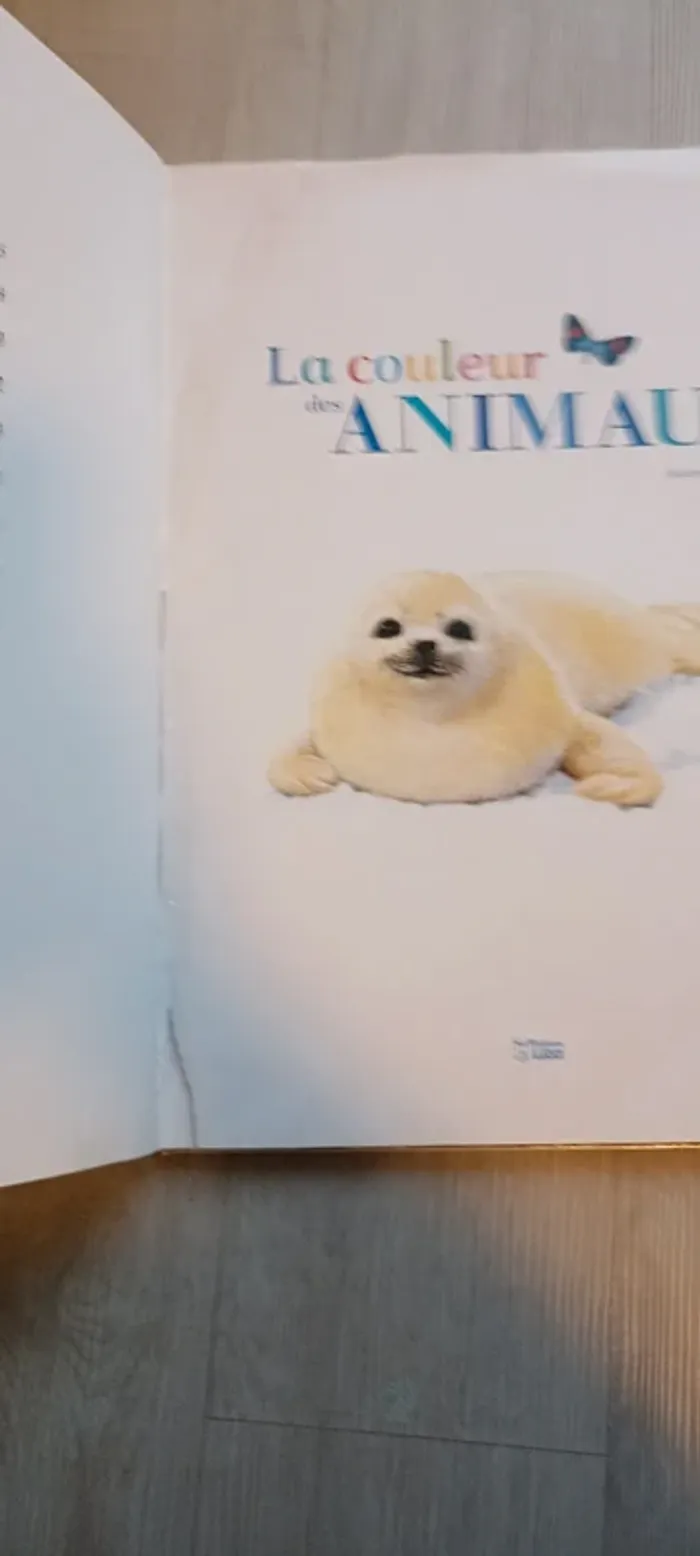 Livre géant la couleur des animaux - photo numéro 2