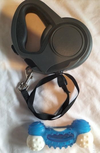 Lot laisse et jouet pour chien