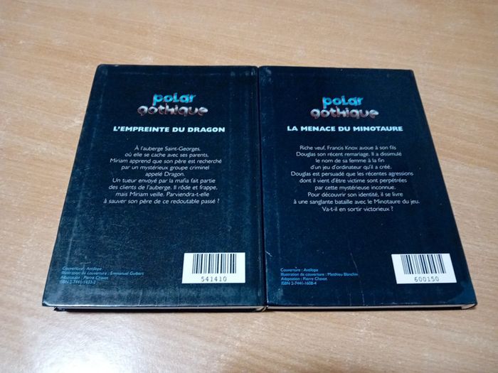 Polar gothique - photo numéro 2