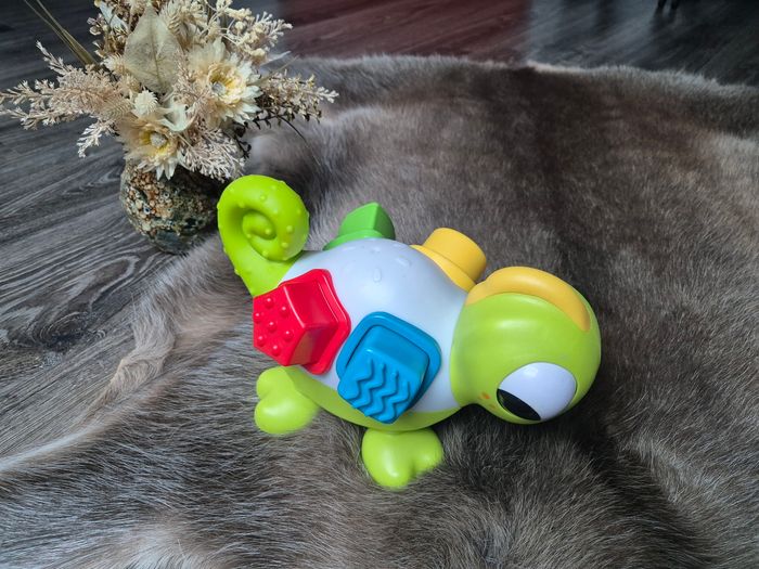 Léon le caméléon - photo numéro 4