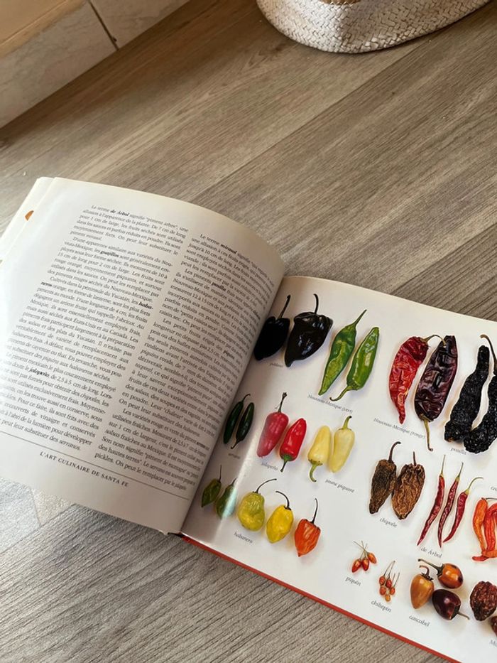 Livre recette cuisine Tex Mex - photo numéro 4