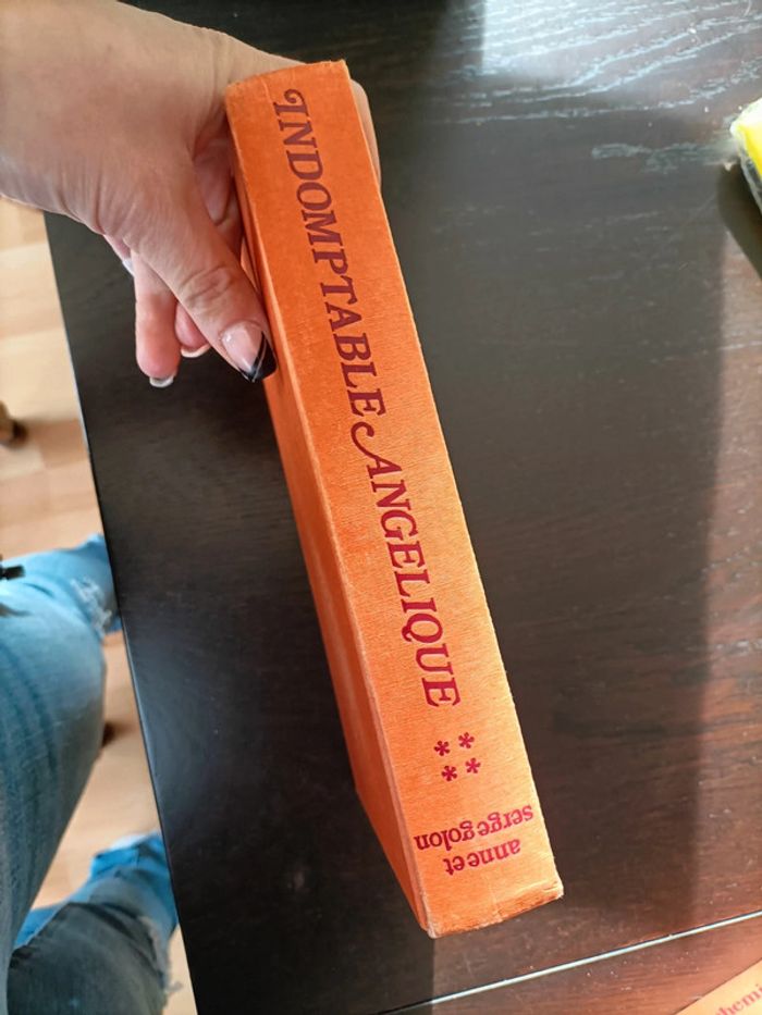 Indomptable Angélique