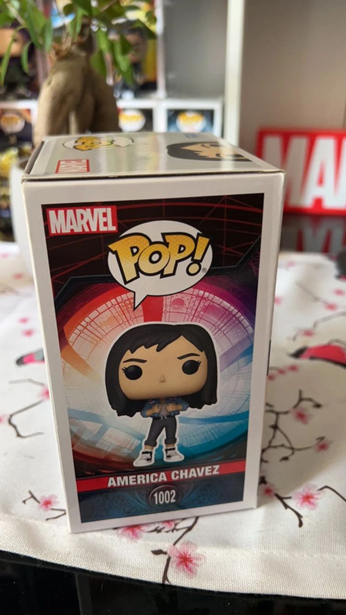 Pop America chavez - photo numéro 4