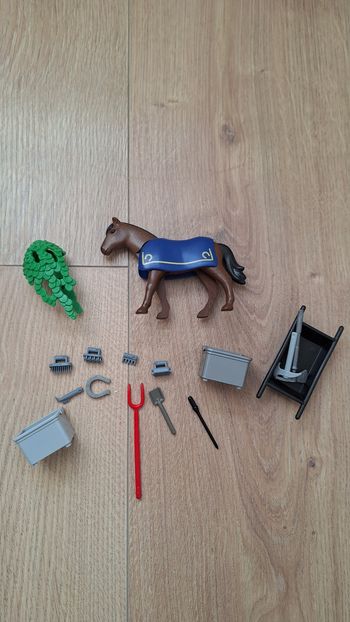 playmobil cheval royal et accessoires