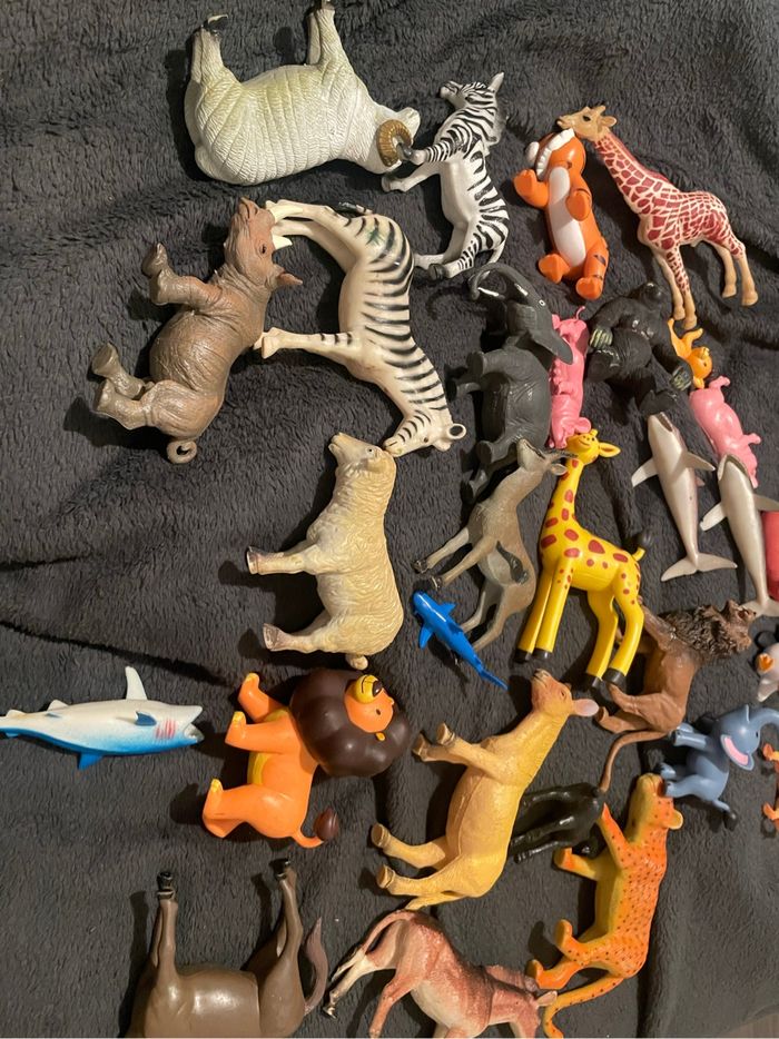 Lot animaux - photo numéro 2
