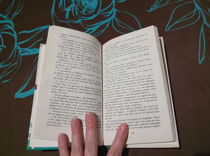 Michel - photo numéro 9