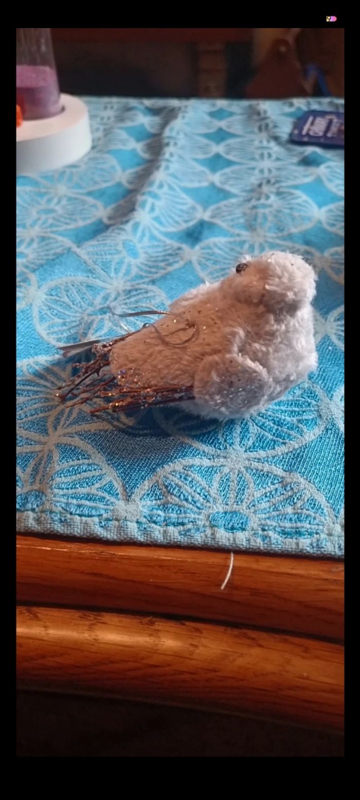 Oiseau de noël - photo numéro 3