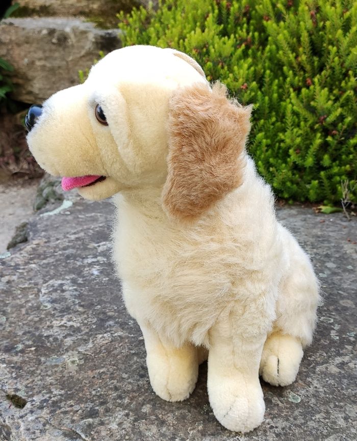 Chien en peluche - photo numéro 3