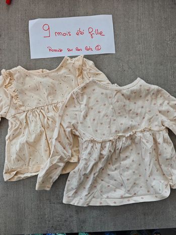 Lot 2 petits hauts manches longues