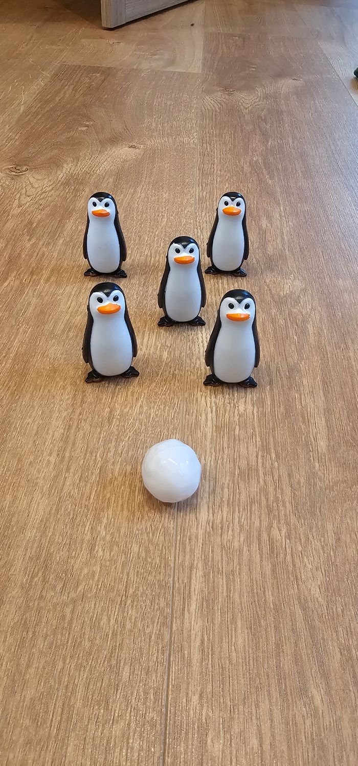 Bowling pingouins - photo numéro 2