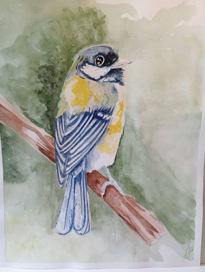 Mésange à l' aquarelle - photo numéro 5