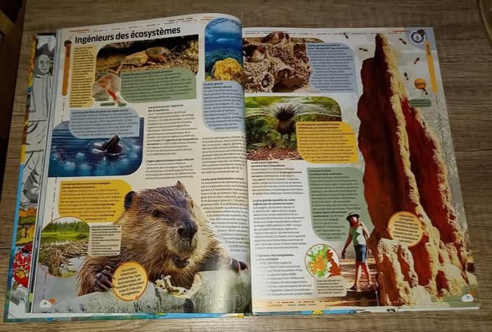 Guinness World records 2022
Hachette - photo numéro 2