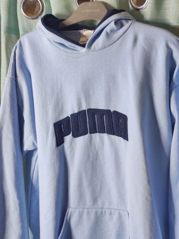 Pull puma