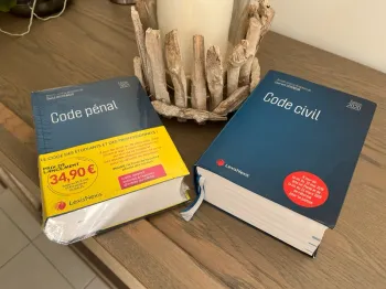 Lot code civil et code pénal