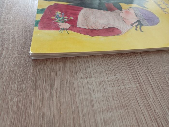 Livre enfant mon petit cheval Mahabat - photo numéro 3