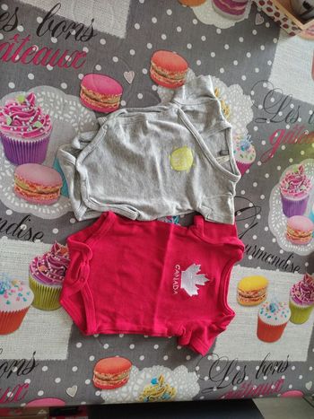 Lot bodies 1 mois mixte