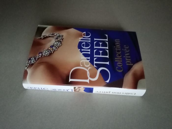 Livre : Steel - photo numéro 6