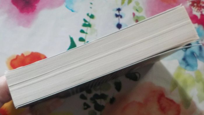 Innocentes de Andrea Bartz Ed. J'ai Lu - photo numéro 4