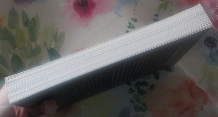 Le règne des affranchis par Claude Onesta Ed. Michel Lafon - photo numéro 5