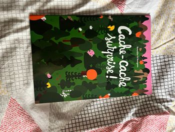 Livre jeunesse Cache cache surprise - Bon état