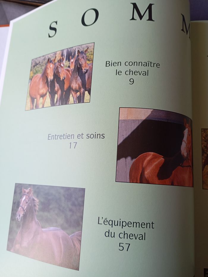 L'équitation les techniques de base - photo numéro 3