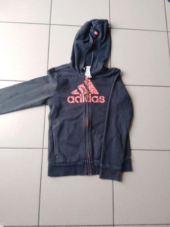 Veste a capuche