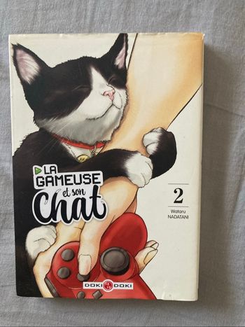 Manga la gameuse et son chat