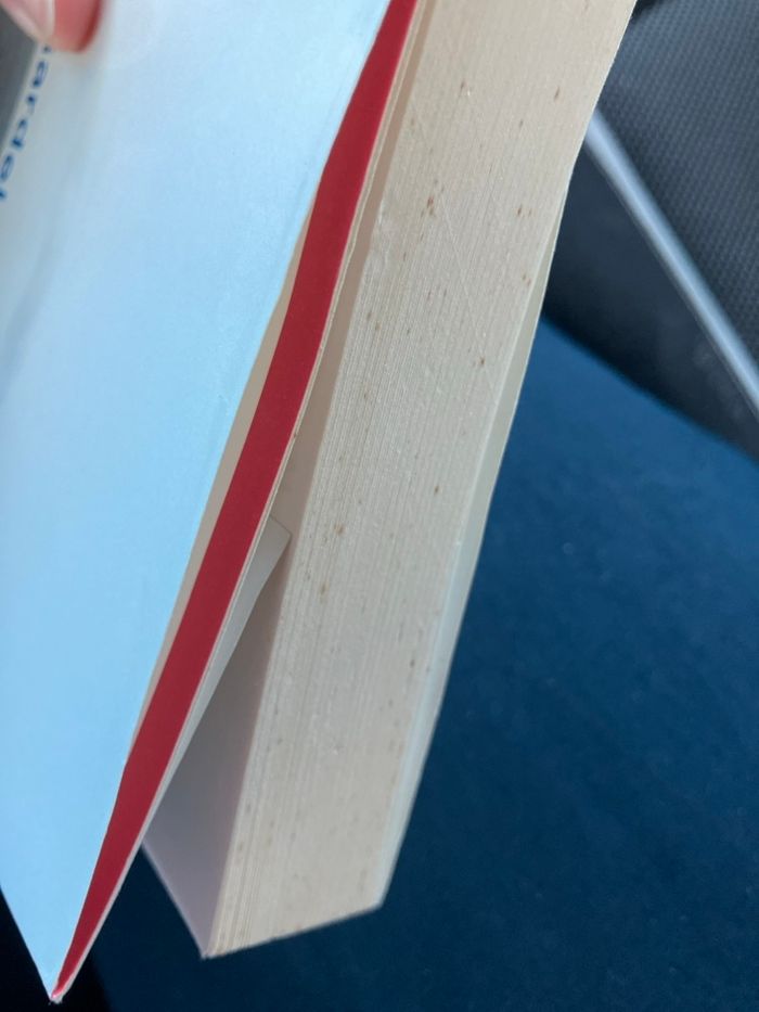 La baie d’Alger - photo numéro 4